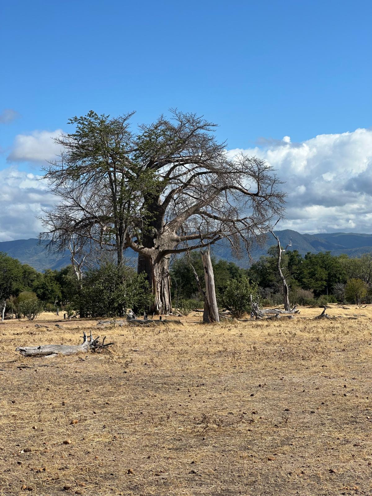 Eastern Highlands landscape